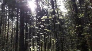 #экономим Как я экономлю.