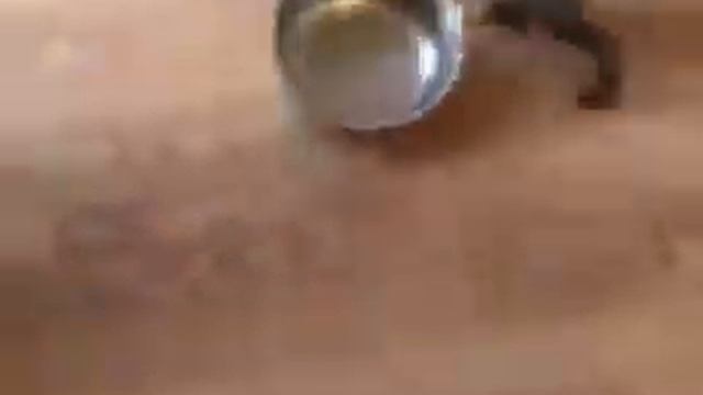 The Stainless Steel Monster смотреть онлайн