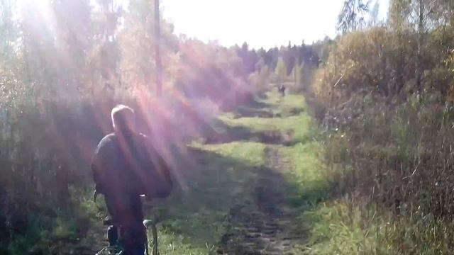 По катушки на Вендусах смотреть онлайн