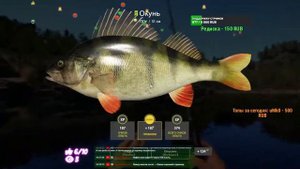 Русская рыбалка 4 Субботние Будни