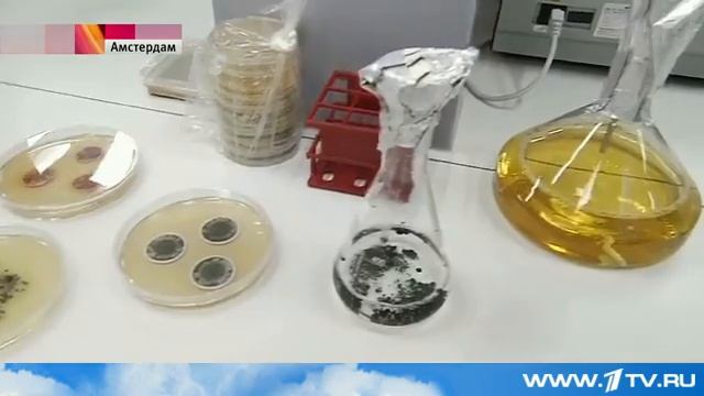 В Амстердаме открылся первый в мире музей, экспонаты которого живые микроорганизмы смотреть онлайн