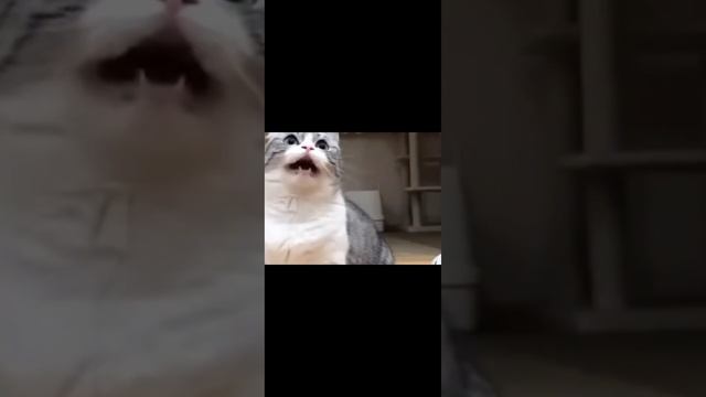 бананчики но это жмых версия смотреть онлайн