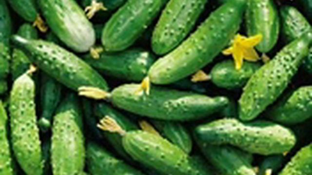 Практическая Ткачука. смотреть онлайн