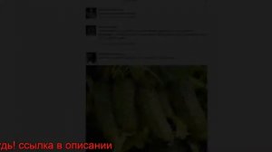 AGROPLANT комплексное гранулированное биоудобрение купить Казалинск