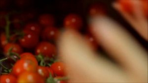 Диета Дюкана