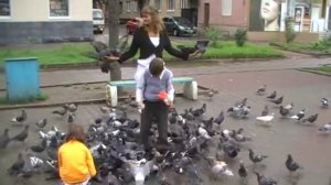 Голубиный рай