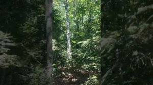 Enduro [Туапсе] гора Семиглавая, Июль 2021