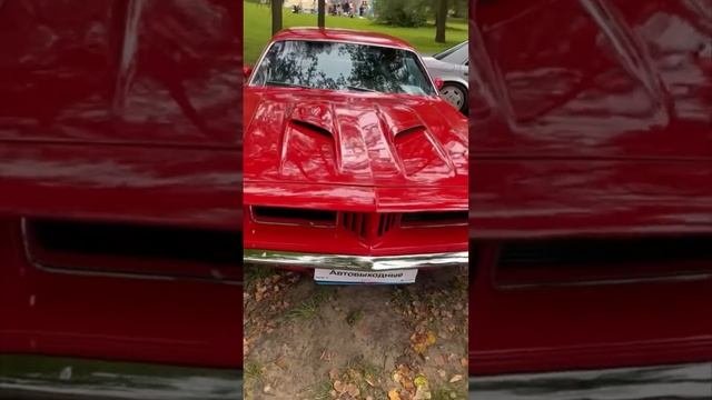 Выставка крутых тачек. Редкие авто в усадьбе Архангельское #авто #машины #автомобили