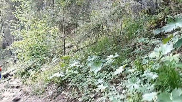 Поход на Усьвинские столбы смотреть онлайн