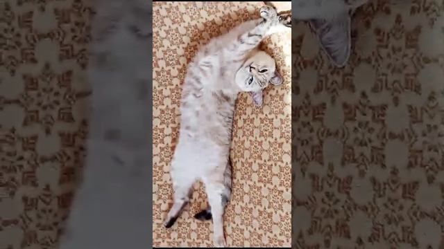Леся балдеет