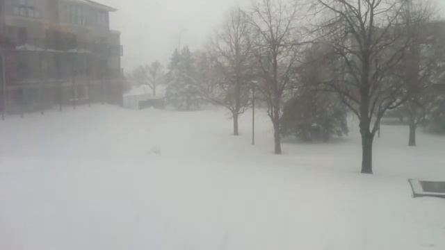 neve a Minneapolis смотреть онлайн