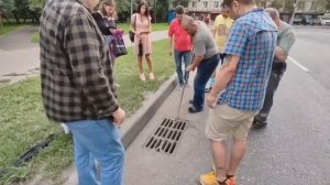 Утиные истории.