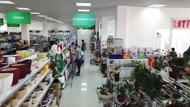 ЛЕТТО Новороссийск с высоты птичьего полета смотреть онлайн