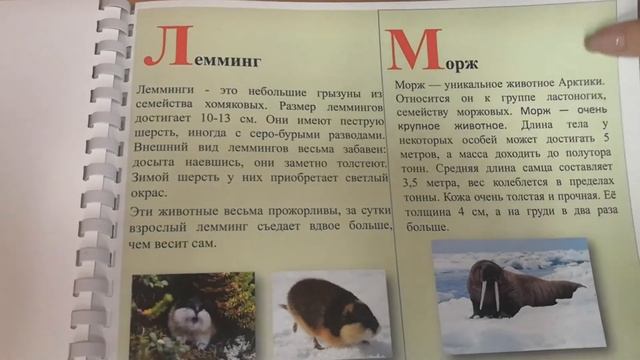 Музей о животных смотреть онлайн