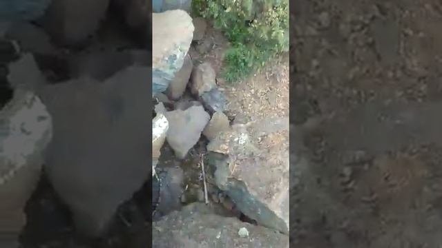 Экскурсия в Буранбаево.