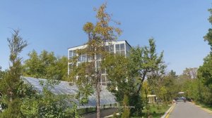 Бишкек первый день
