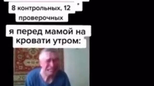 мем жмых