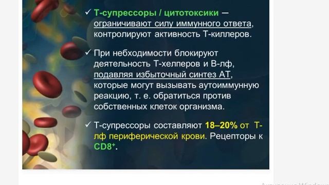 Иммунология (3 лекция) часть 1