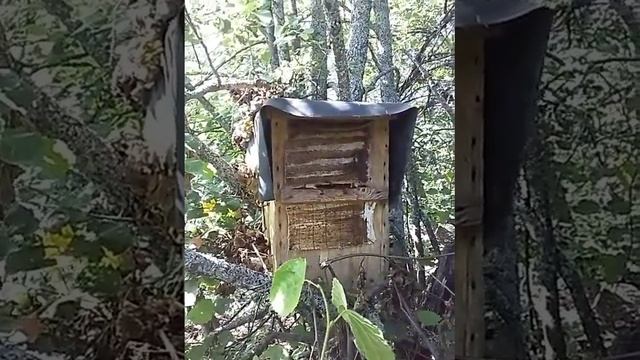 Еще один пчелиный рой смотреть онлайн