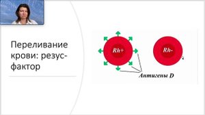 Кровь  Форменные элементы - эритроциты, лейкоциты и тромбоциты.
