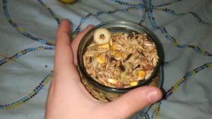 Купили корм для хомячка.Вкусняшка для грызуна
