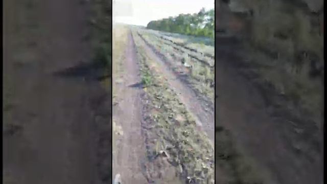 на великах, на рыбалку! смотреть онлайн