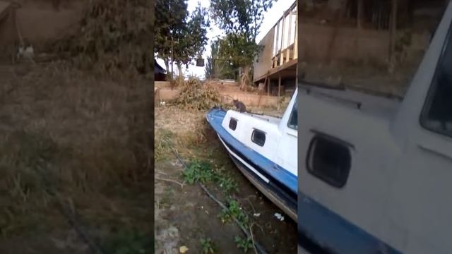 Удачный день на рыбалке у гостей из Беларуси. Гостевой дом на нижней Бушме. смотреть онлайн