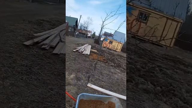 Стройка Истра подготовка смотреть онлайн