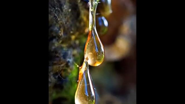 Секрет Мухи Жо́ржа Ланжела́на фото А Васильева Hlne смотреть онлайн