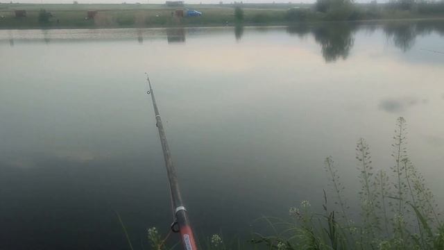 ЧУДО-РЫБАКИ И ЗОЛОТАЯ РЫБКА))) смотреть онлайн