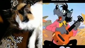 Я так кайфую от любви...