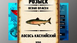 Мутанты рр3. Лосось Каспийский рр3. Урал.