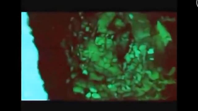 "Польза" паслёновых. Мы то - что мы едим. Правильное питание