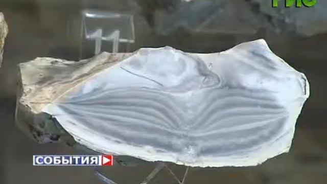 Выставка "Богат минералами край самарский"