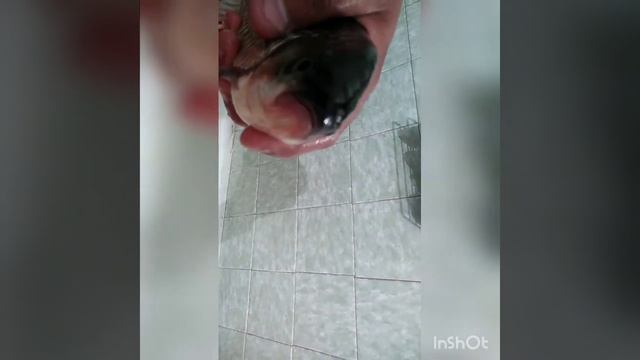 Рыбалка на карася 5 мая смотреть онлайн