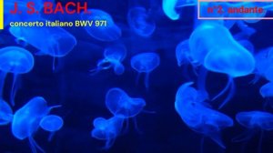 J. S. BACH. Concerto italiano. BWV 971.  I.  II.  III.