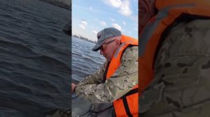 Ловля судака на финском заливе!/🇷🇺СПБ🇷🇺/🐟Рыбалов🎣/Подписывайтесь!😁