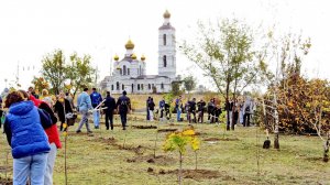 25 октября -   Посадка деревьев на Весенней