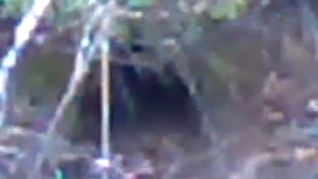 Смотри-бобриные норы! смотреть онлайн