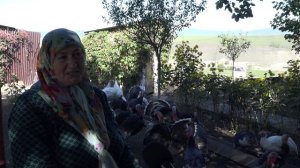 Вай боахам 17,10,24  автор Холохоева Пятимат