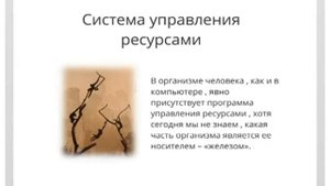 ОРГАНИЗМ ЧЕЛОВЕКА С ТОЧКИ ЗРЕНИЯ КИТАЙСКОЙ МЕДИЦИНЫ