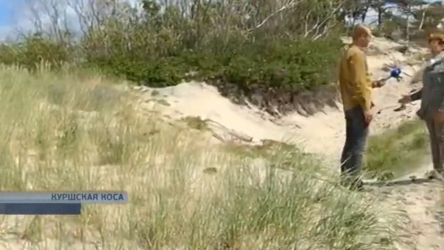 Эвакуаторы на косе смотреть онлайн