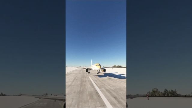 A 318 - 100 part2 #airplane #plane #aviation #landing #games #msfs2020