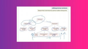 Лейкоцитарная формула. Закурдаев Иван Александрович, преподаватель фундаментальной медицины