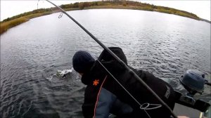 Приманка-казявка