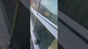 Герметизация оконных проемов