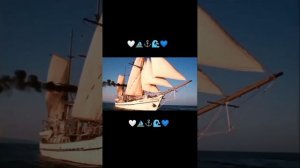 Дети капитана Гранта Жюль Верн Приключения Jules Verne  В поисках капитана Гранта ⛵⚓🌊🤍💙