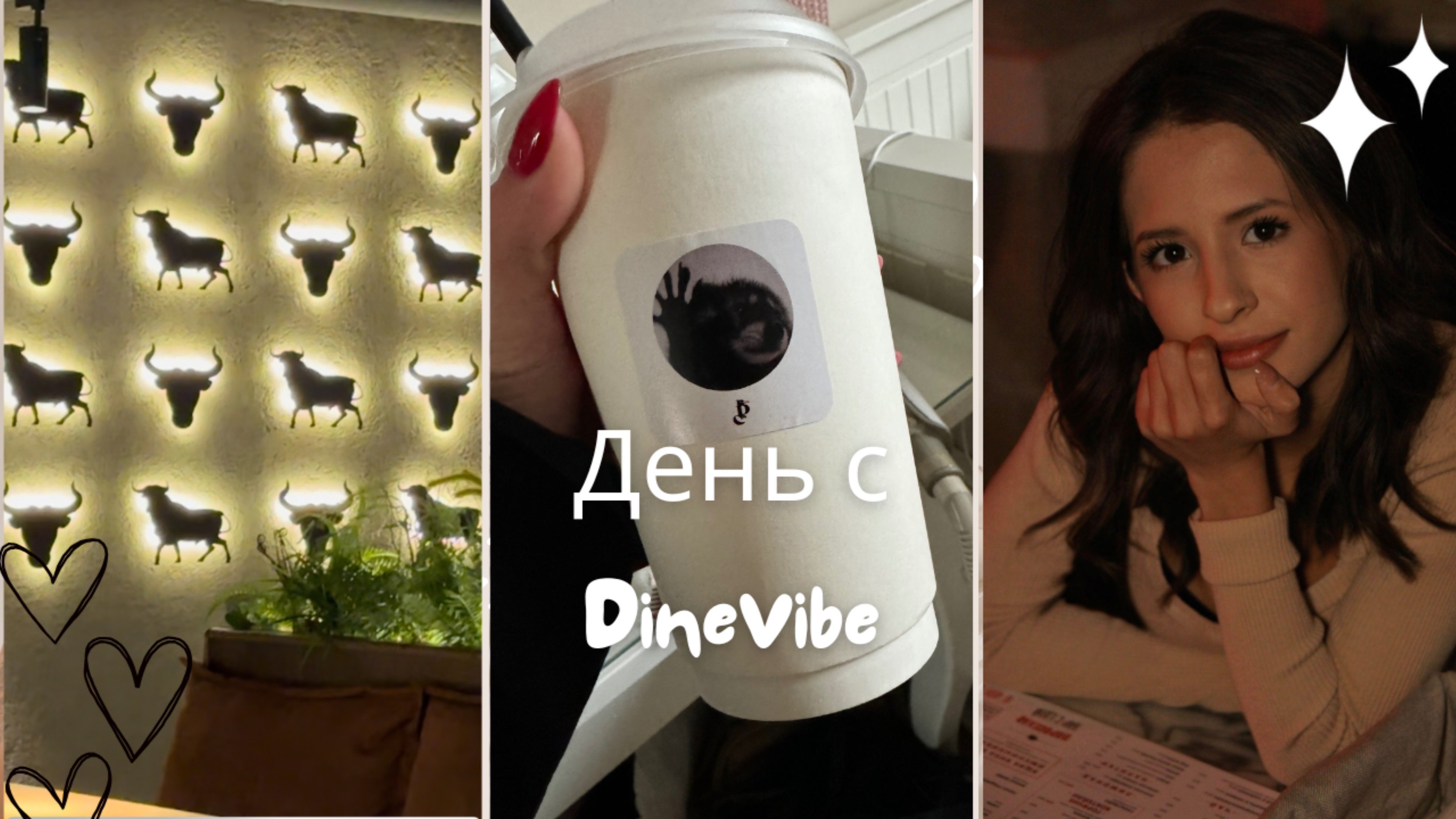 День с DineVibe