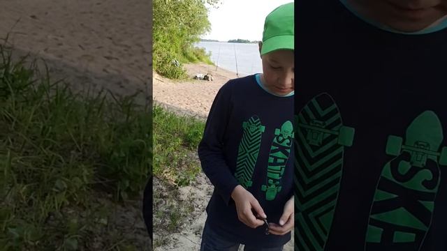 Уж, как домашний питомец.