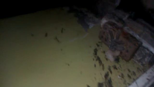 Пахло в заброшаны падвал смотреть онлайн